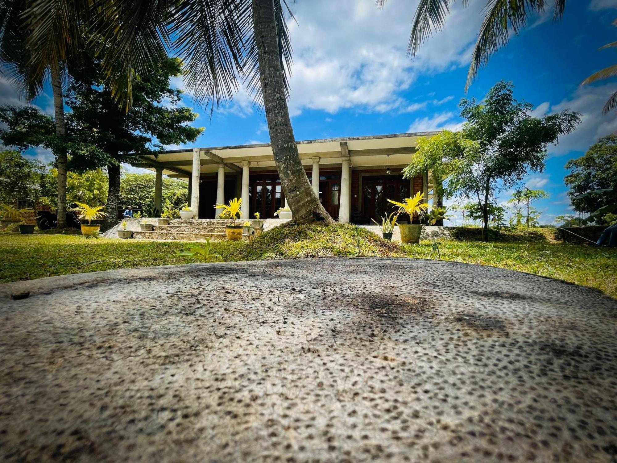 The Lotus Villa 锡吉里亚 外观 照片