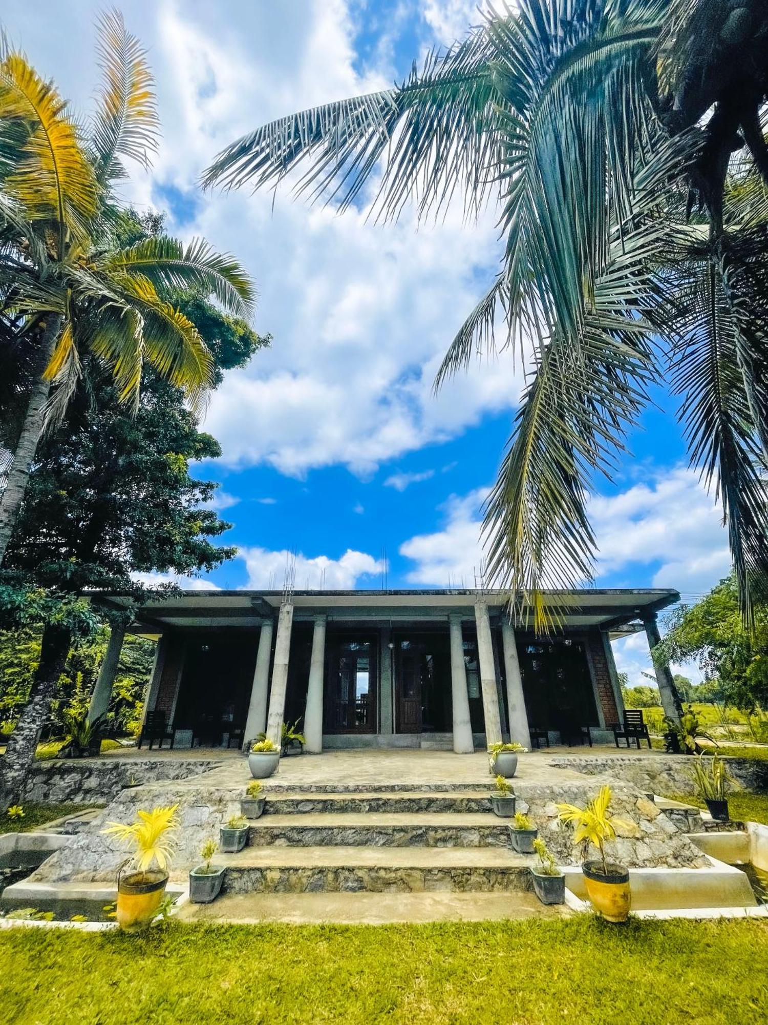 The Lotus Villa 锡吉里亚 外观 照片